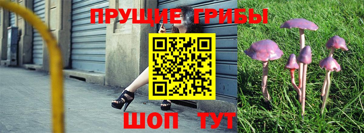 Псилоцибиновые грибы Magic Shrooms  цены наркотик  Уварово  Вход с VPN 